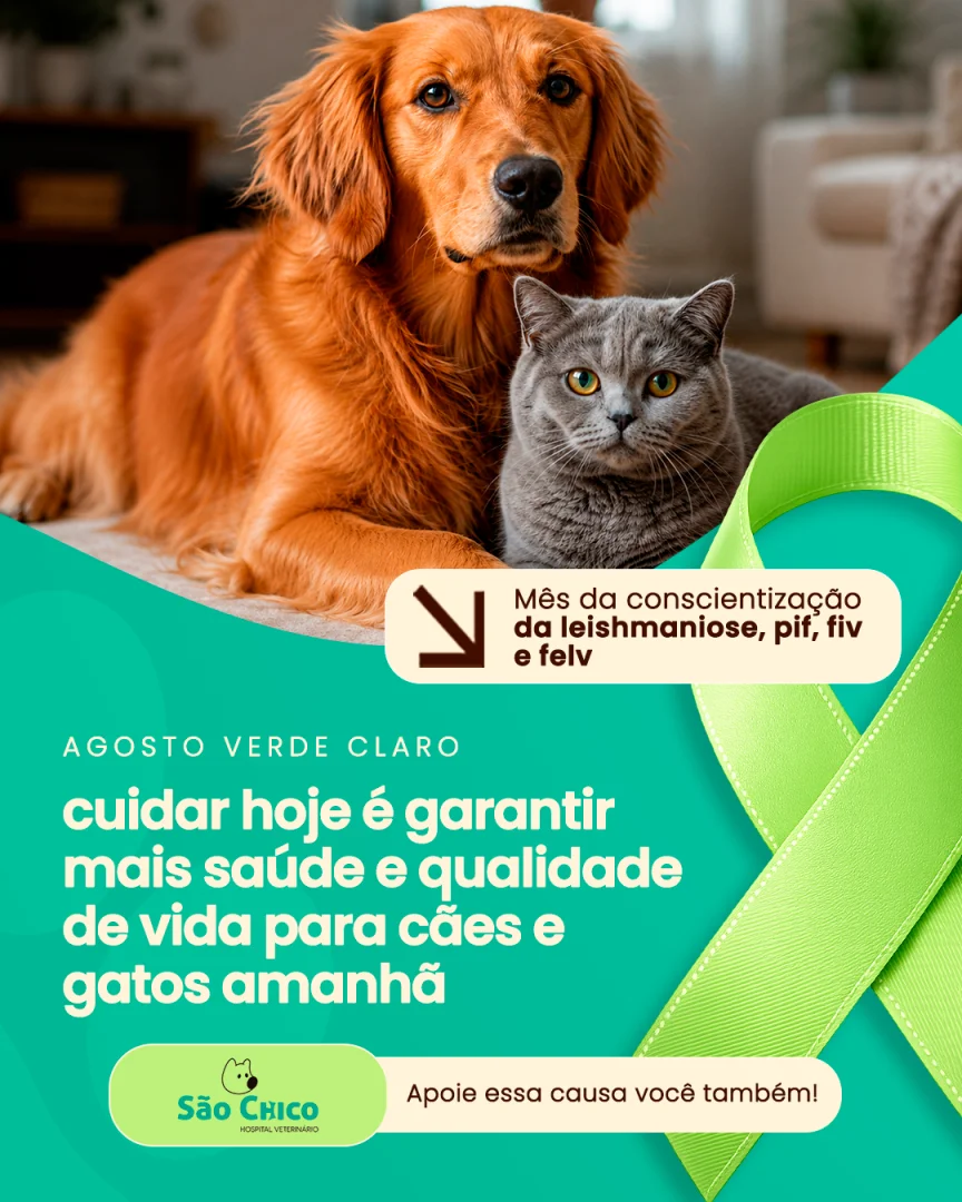 São Chico